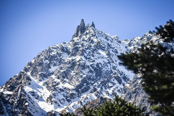 istock Yumthang Valley or Sikkim Valley, is a nature sanctuary on rolling meadows surrounded by the Himalayan mountains, North Sikkim, India. 1066898346