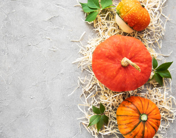 istock Colorful autumn pumpkins 1066900236