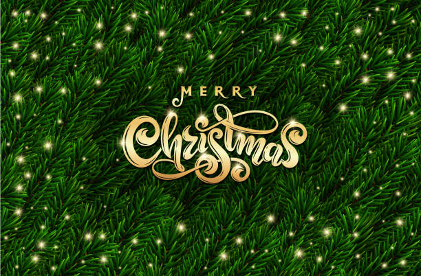 illustrazioni stock, clip art, cartoni animati e icone di tendenza di testo d'oro buon natale. rami realistici di abete rosso verde. cornice vettoriale per rami di abete festivo. scritte di natale. - lighting equipment green illuminated backgrounds