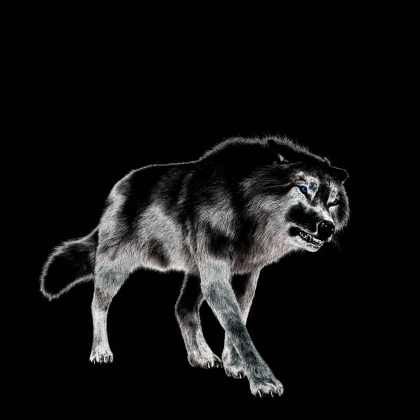 istock Digital 3D Illustration of a Wolf 1066900844