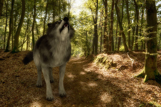 istock Digital 3D Illustration of a Wolf 1066900852
