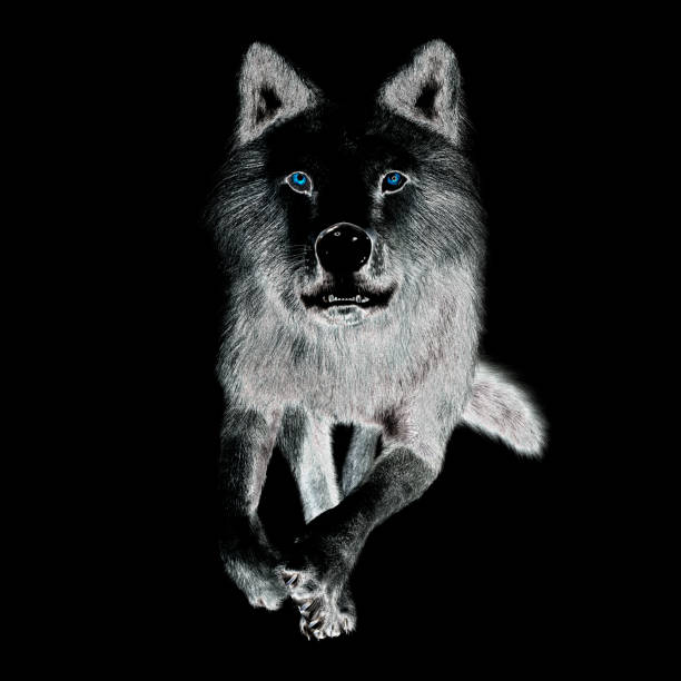istock Digital 3D Illustration of a Wolf 1066900858