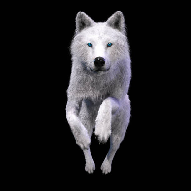 Digital 3D Illustration of a Wolf stock photo