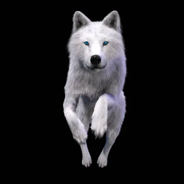 Digital 3D Illustration of a Wolf