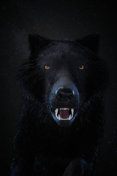 istock Digital 3D Illustration of a Wolf 1066900950