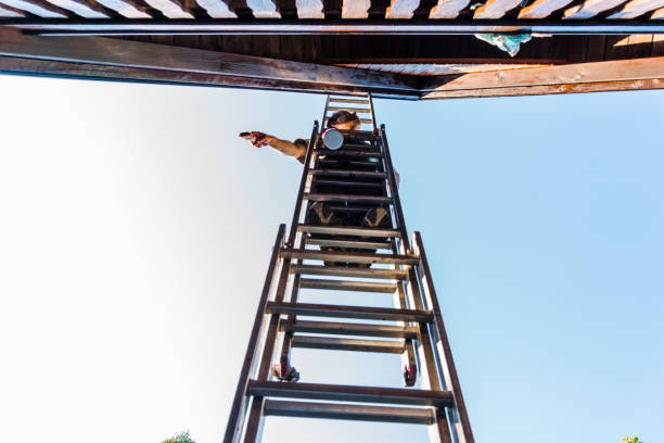 istock Adult Man Asking For a Tool While High Up on Ladder 1066902094