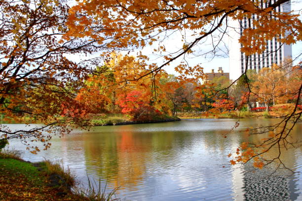 istock Fall scenery of Hokkaido, Sapporo, Nakajima Park, 1066902546