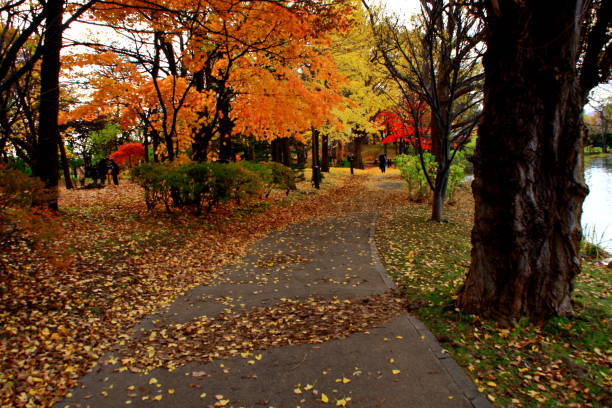 istock Fall scenery of Hokkaido, Sapporo, Nakajima Park, 1066906610
