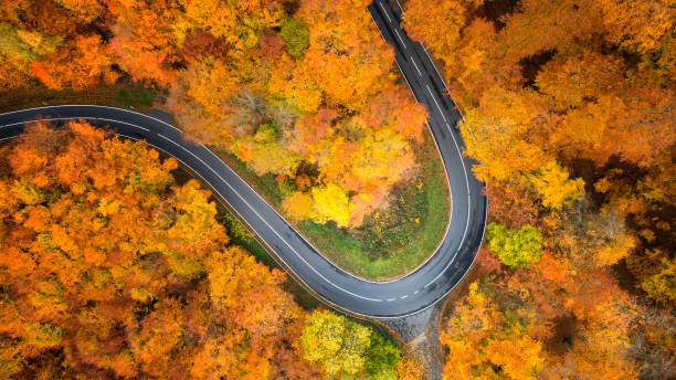 istock Road through autumnal forest - aerial view 1066908540