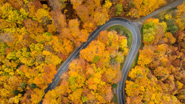 istock Road through autumnal forest - aerial view 1066908636