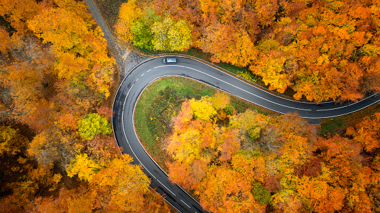 Road through colourful autumnal forest - aerial view