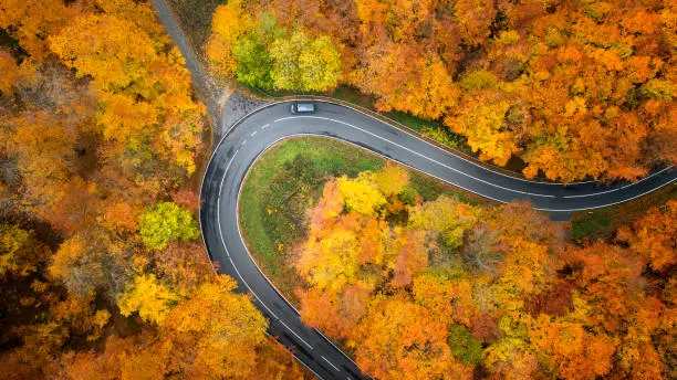 Photo of Road through autumnal forest - aerial view