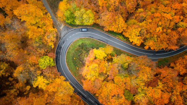 road through autumnal forest - aerial view - forest autumn aerial view leaf imagens e fotografias de stock