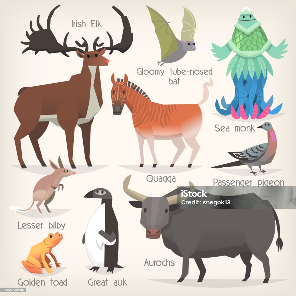 Collection Of Extinct Animals With Names List Of Mammals Birds And Sea  Creatures That Ceased To Exist Stock Illustration - Download Image Now -  iStock