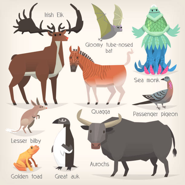 Collection Of Extinct Animals With Names List Of Mammals Birds And Sea  Creatures That Ceased To Exist Stock Illustration - Download Image Now -  iStock