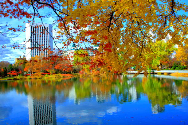 istock Fall scenery of Hokkaido, Sapporo, Nakajima Park, 1066911284