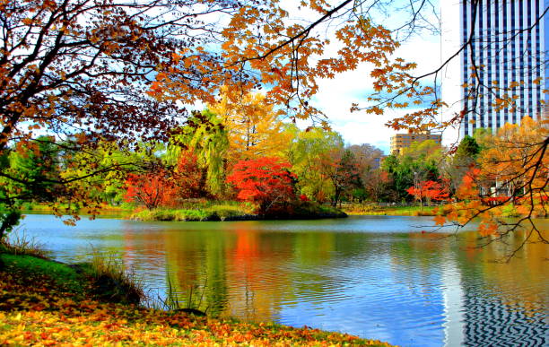 istock Fall scenery of Hokkaido, Sapporo, Nakajima Park, 1066912614