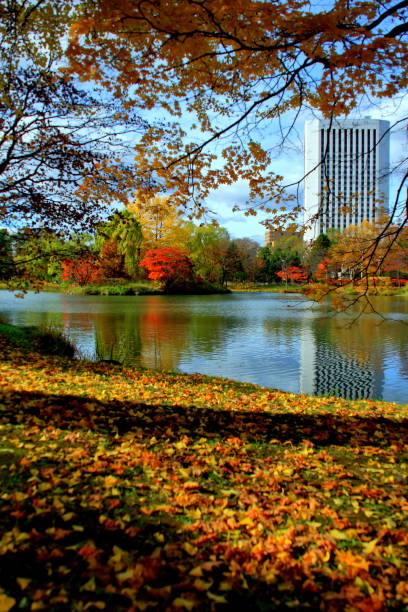 istock Fall scenery of Hokkaido, Sapporo, Nakajima Park, 1066912872