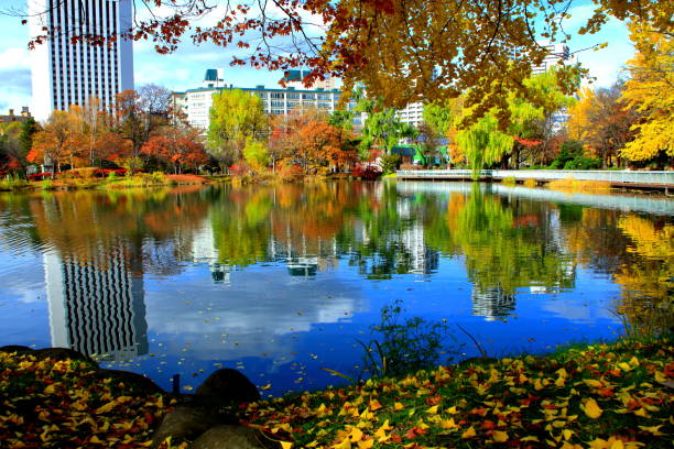 istock Fall scenery of Hokkaido, Sapporo, Nakajima Park, 1066913064