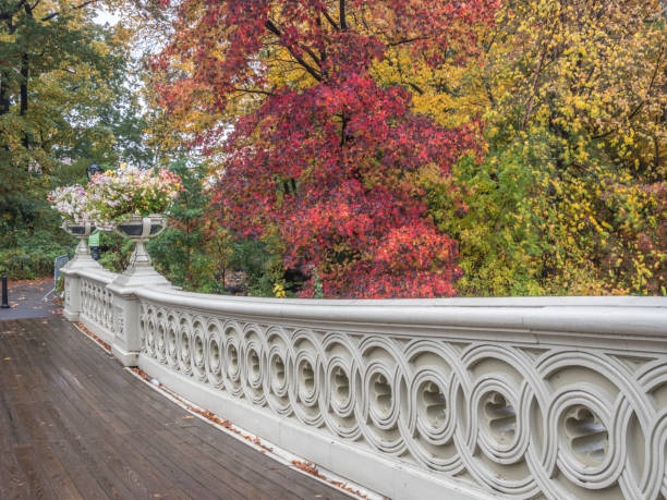istock Bow bridge,Central Park, New York Cit 1066913498