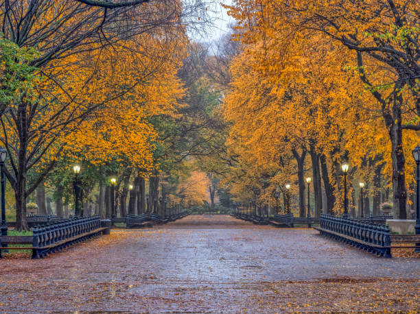 istock Central Park Mall in autumn 1066915878