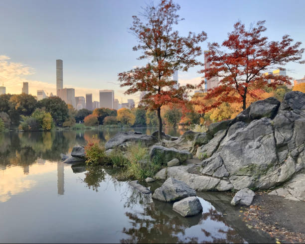 istock At the lake in Central Park 1066916022