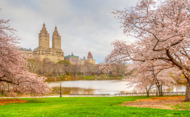 istock Central Park, New York City in spring 1066916264