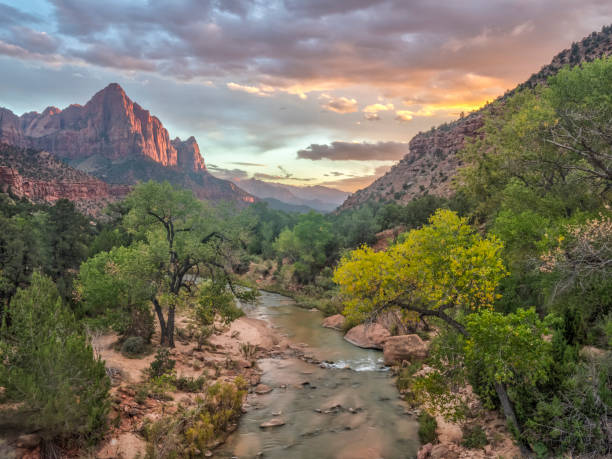 istock Zion National Park, Utah 1066917112