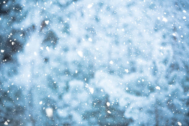 istock Winter scene - snowfall in the woods 1066917556