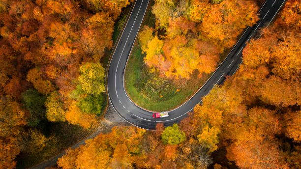 istock Road through autumnal forest - aerial view 1066917716