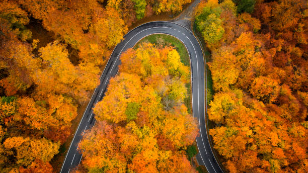 istock Road through autumnal forest - aerial view 1066917898