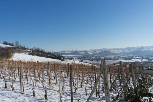 istock View of the Langhe hills with snow 1066922888