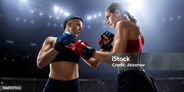 Female Mma Fighters In Professional Boxing Ring Stock Photo - Download Image Now - Active Lifestyle, Adult, Aggression