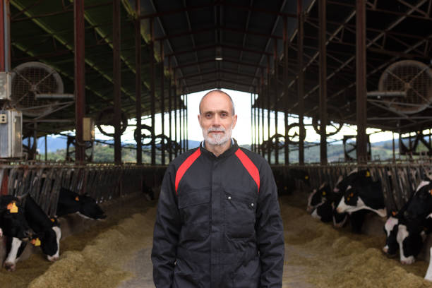 istock farmer in a cow farm 1066931868
