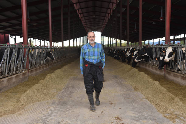 istock farmer in a cow farm 1066933176