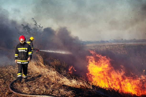 istock Firefighters spray water to wildfire 1066937592