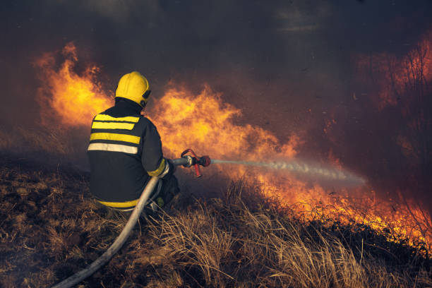 istock Firefighters spray water to wildfire 1066938256