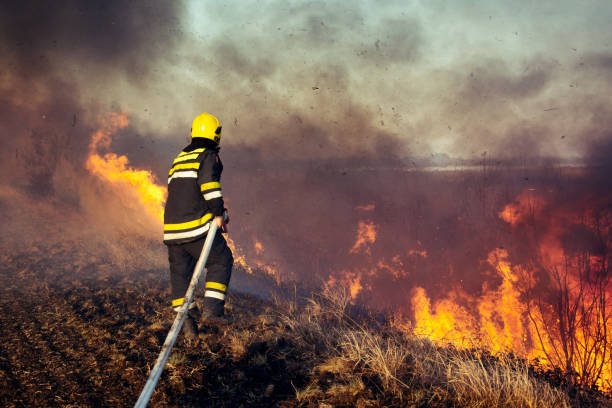 istock Firefighters spray water to wildfire 1066938540