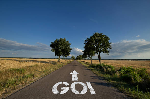 Asphalt road planted with green trees walking in the middle between ripening fields of grain with the word GO!