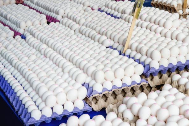 istock Turkish farmer market 1066946766