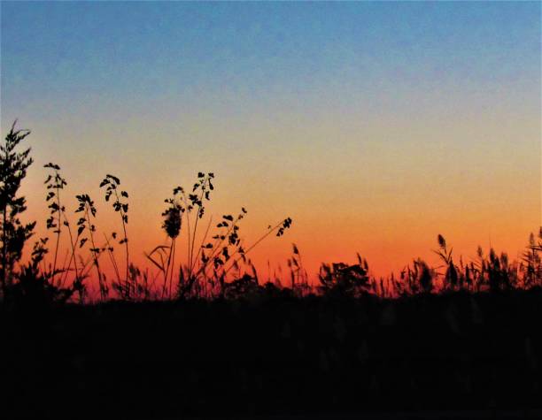 istock Sunrise Shillouette By The Meadows 1066949382
