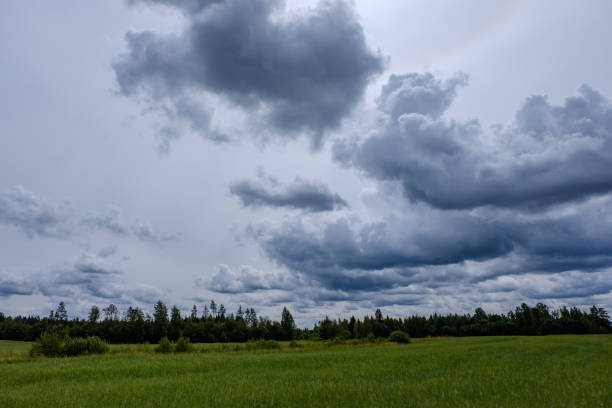 istock contrast rain storm clouds over green meadow and some trees in summer 1066954304