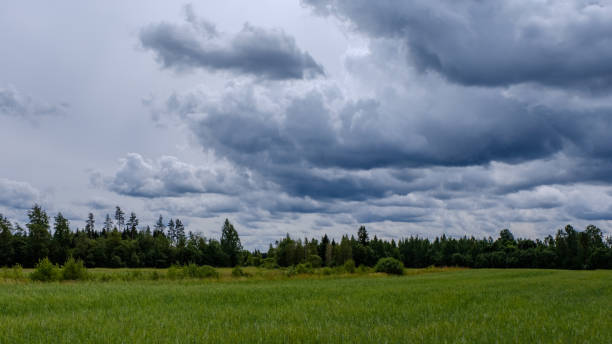 istock contrast rain storm clouds over green meadow and some trees in summer 1066954312