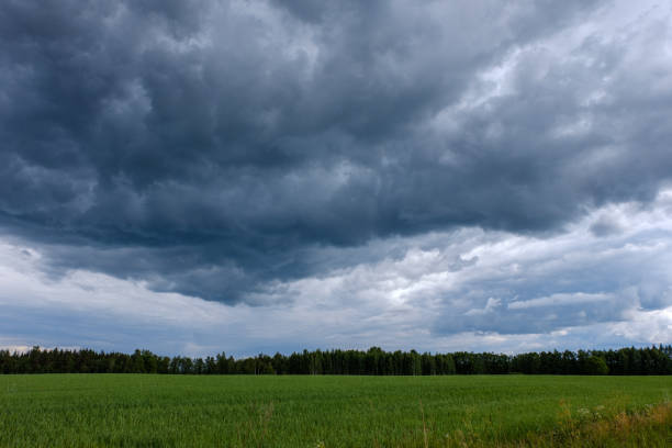 istock contrast rain storm clouds over green meadow and some trees in summer 1066954974