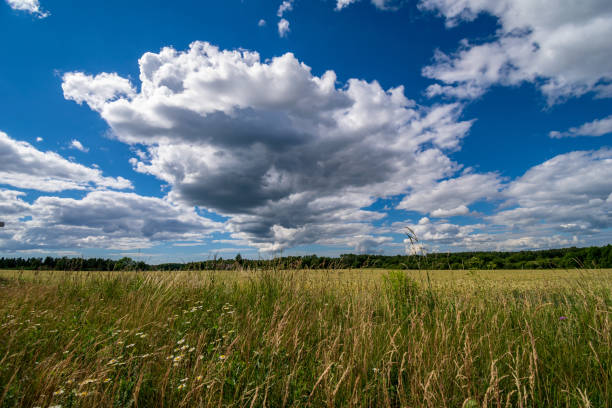 istock contrast rain storm clouds over green meadow and some trees in summer 1066955044