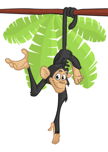 illustrations, cliparts, dessins animés et icônes de singe chimpanzé drôle de bande dessinée sur l’arbre - monkey tropical rainforest tree cartoon