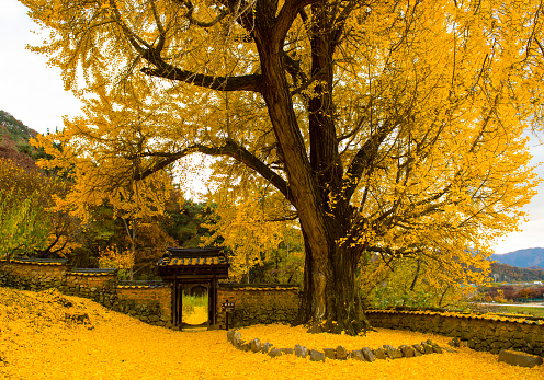 China, Liaoning, Benxi, Guanmen Mountain National Forest Park, Autumn Scenery
