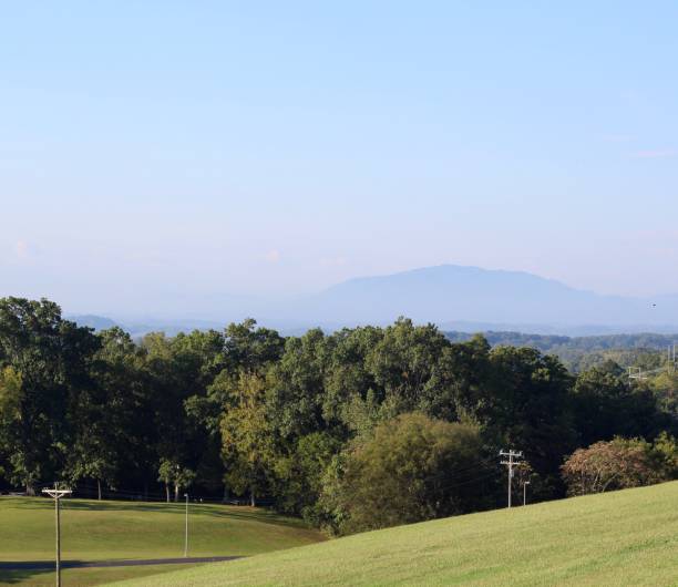 Green Field Lawn with a View