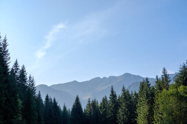 istock western carpathian Tatra mountain skyline with green fields and forests in foreground 1066961760