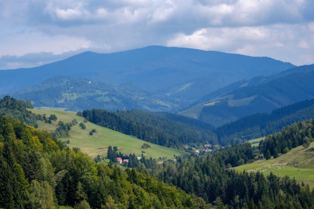 istock western carpathian Tatra mountain skyline with green fields and forests in foreground 1066962042